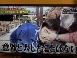 動物臭のあれこれ